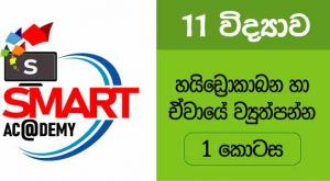 හයිඩ්‍රොකාබන හා ඒවායේ ව්‍යුත්පන්න පාඩම 1 කොටස-ඉරෝෂ් බුද්ධික සර්